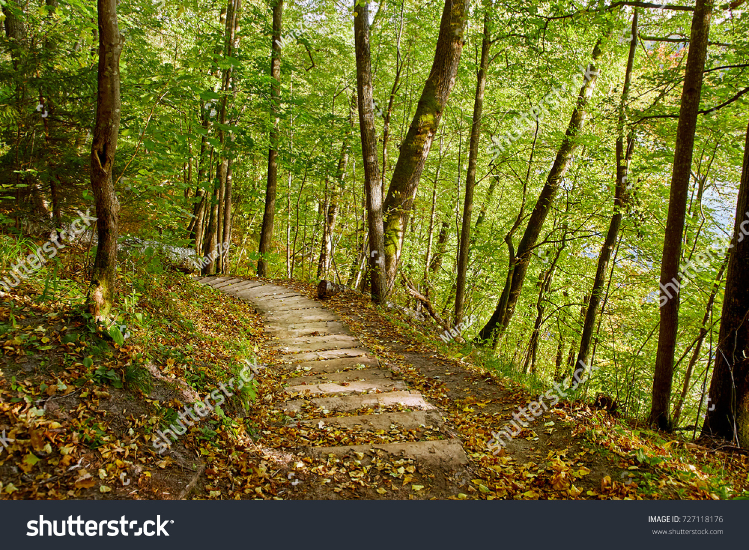 Stairway in a mountain park, Sigulda, Latvia #727118176