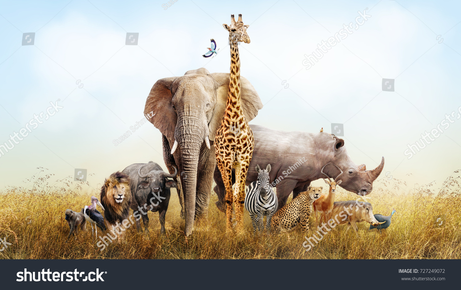 Large group of African safari animals composited together in a scene of the grasslands of Kenya.  #727249072