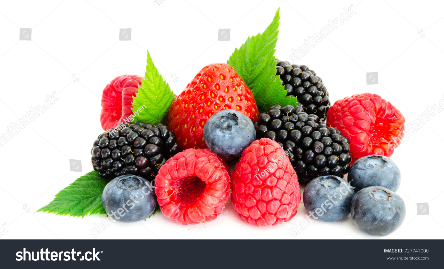 Close-up arrangement mixed, assorted berries including blackberries, strawberry, blueberry, raspberries and fresh leaf isolated on white. Colorful, healthy concept. Black, blue, red, green. Panorama #727741000