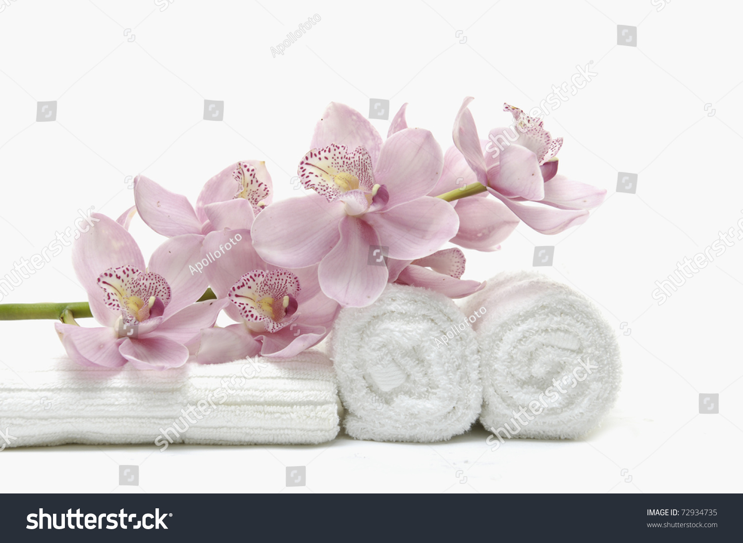 beautiful pink orchid on white towel #72934735