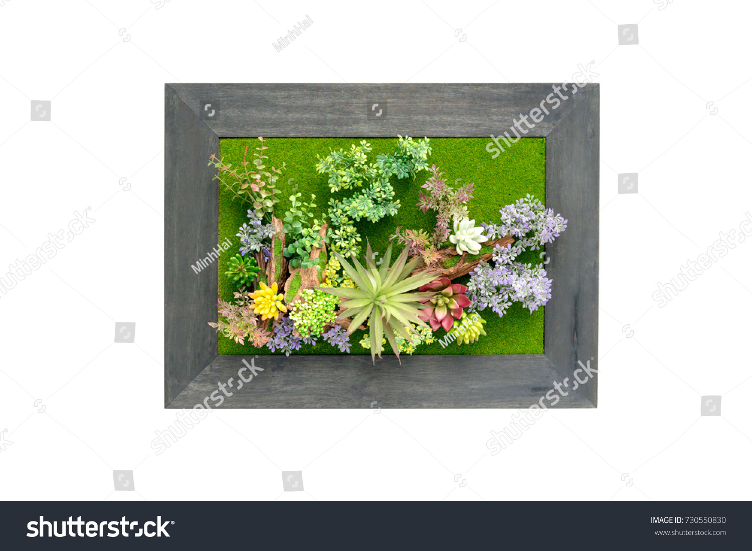 Picture frame plastic flowers on white background #730550830