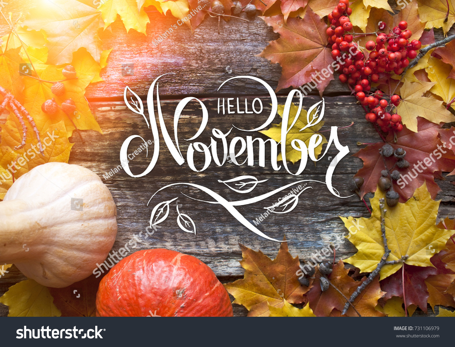 Great season texture with fall mood. Nature november background with hand lettering "Hello November". #731106979
