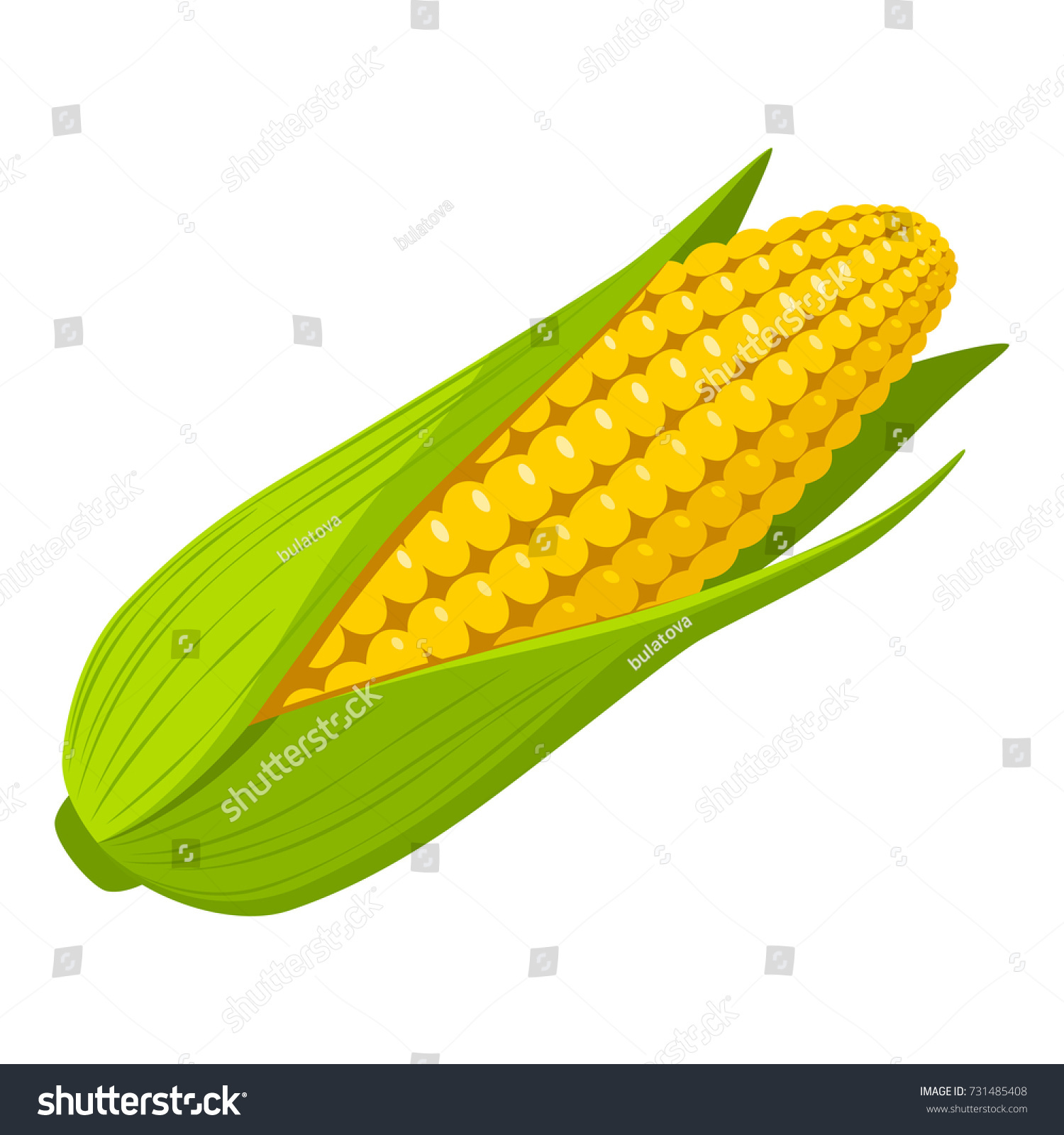 Corn #731485408