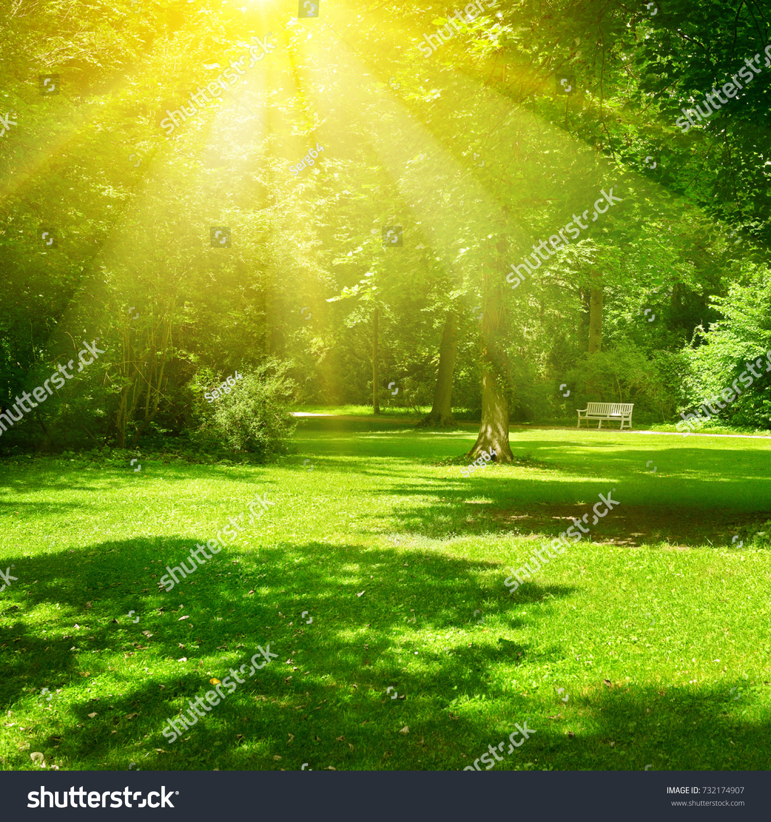 Bright sunny day in park. The sun rays illuminate green grass and trees. Summer landscape. #732174907