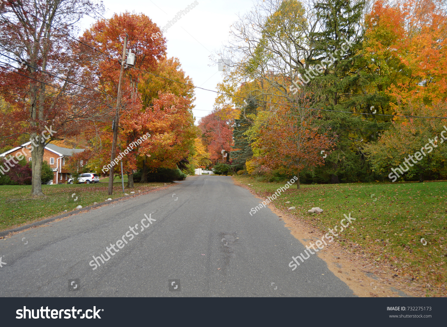 Autumn Suburban Street USA #732275173