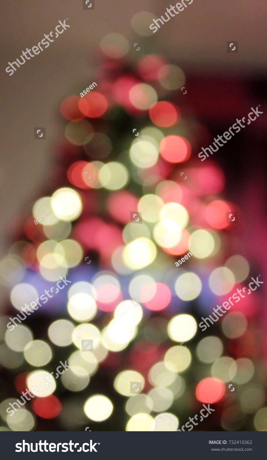 Christmas tree #732410362