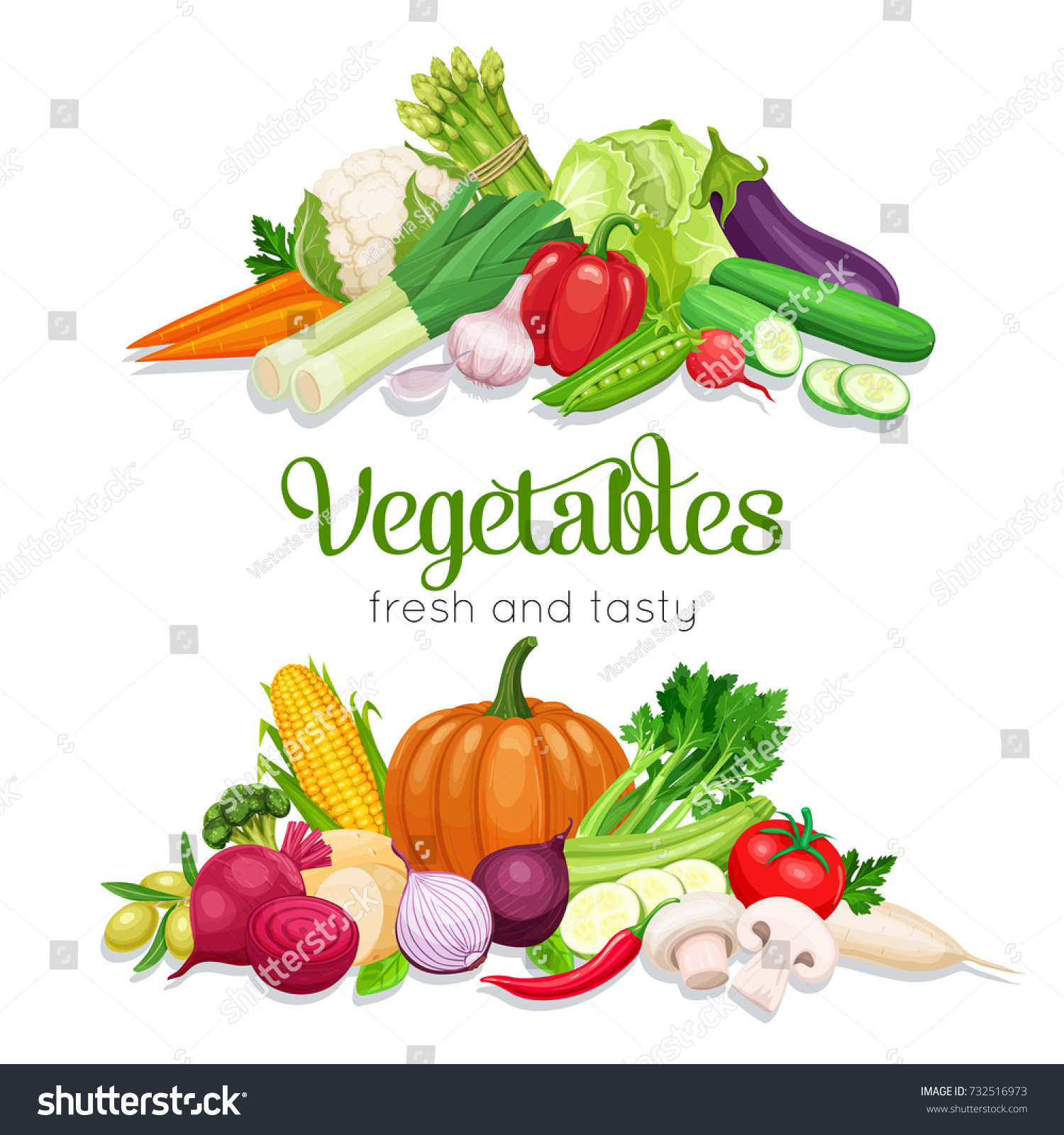 Banner with vector vegetables. Concept healthy food. Onion, zucchini, eggplant and asparagus. Corn, celery, mushrooms or daikon et al. #732516973