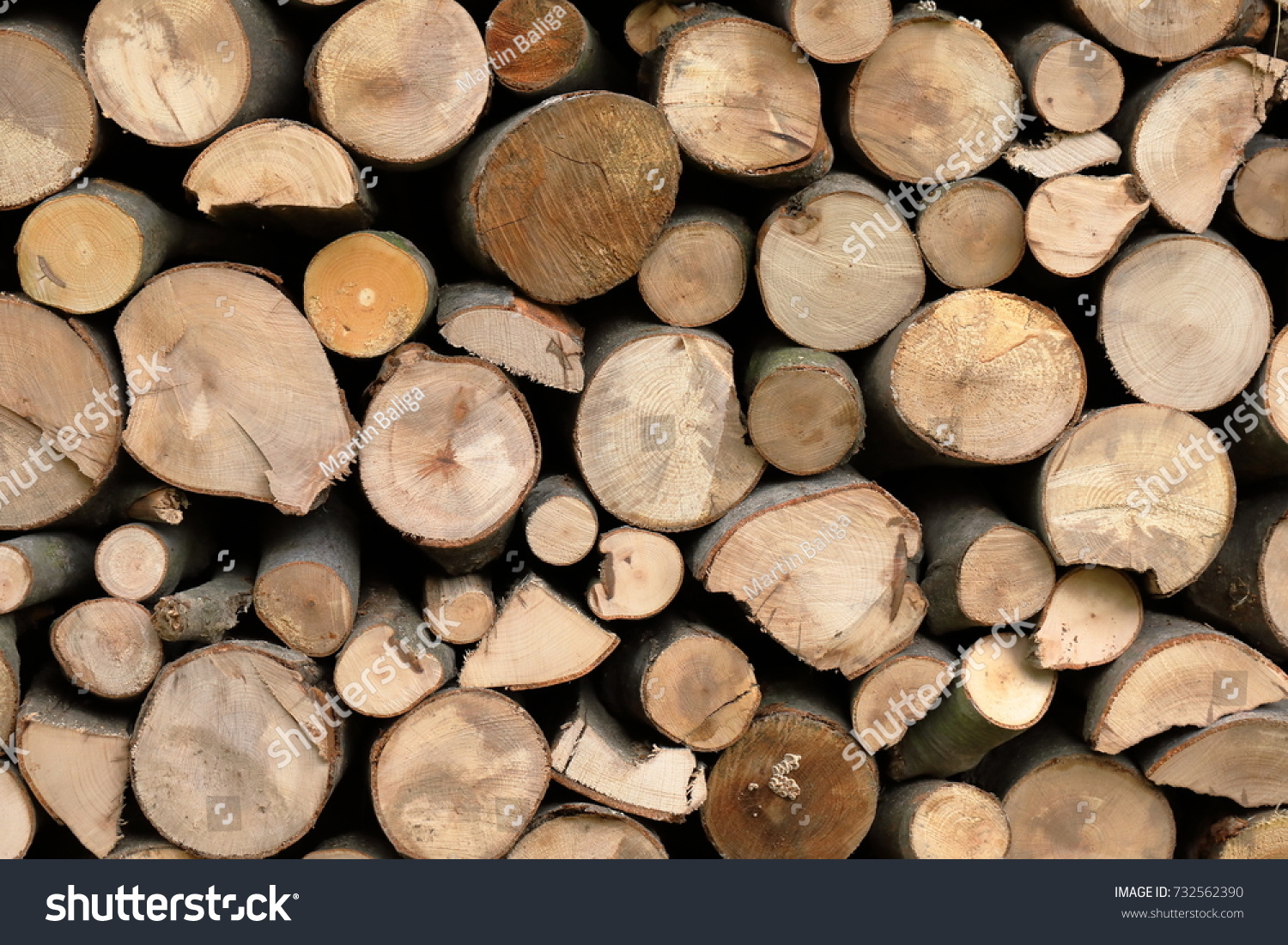 Firewood for the winter, stacks of firewood, pile of firewood. #732562390