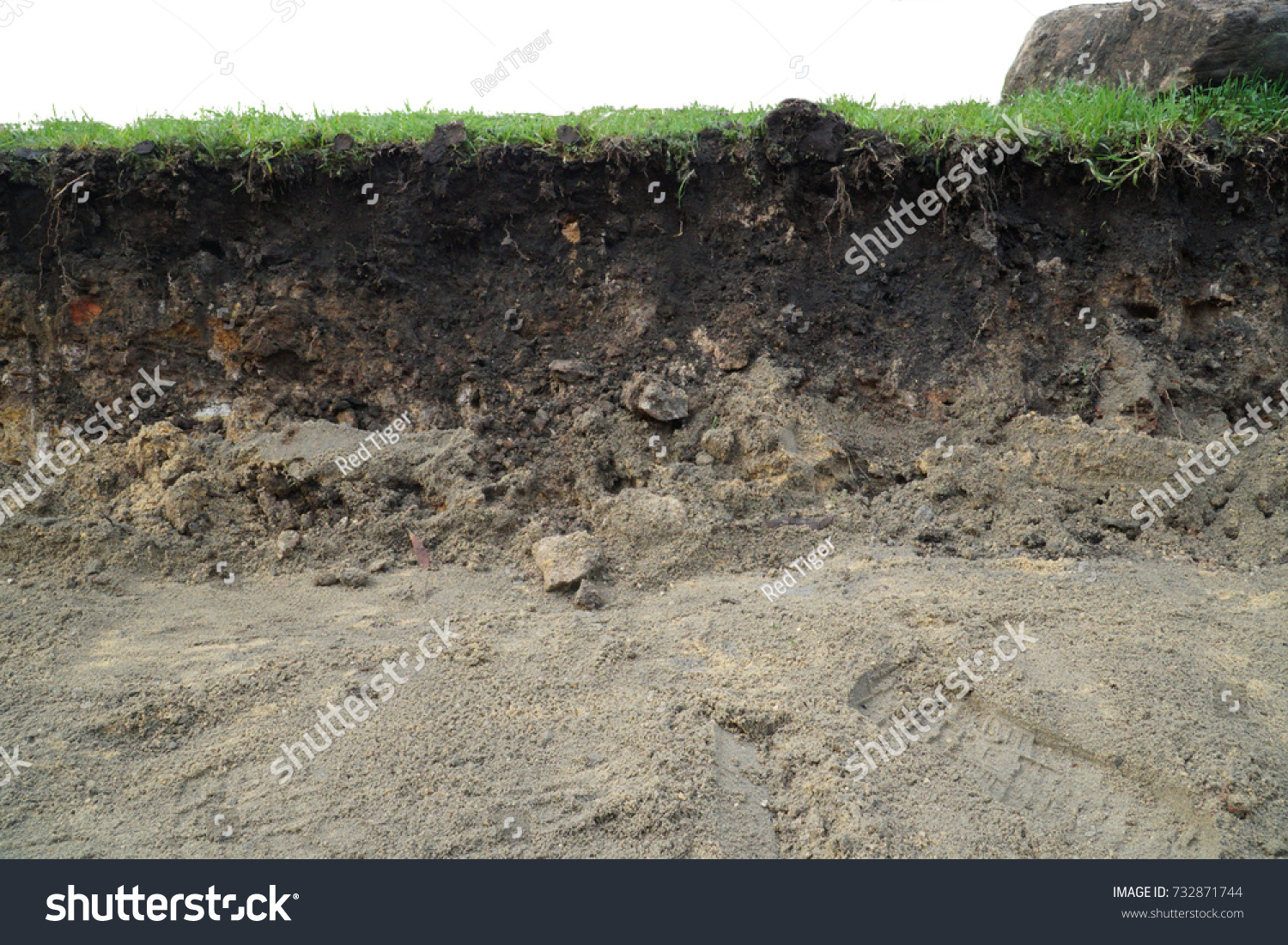 nature cross section soil underground with green grass, cutaway earth ground terrain surface #732871744