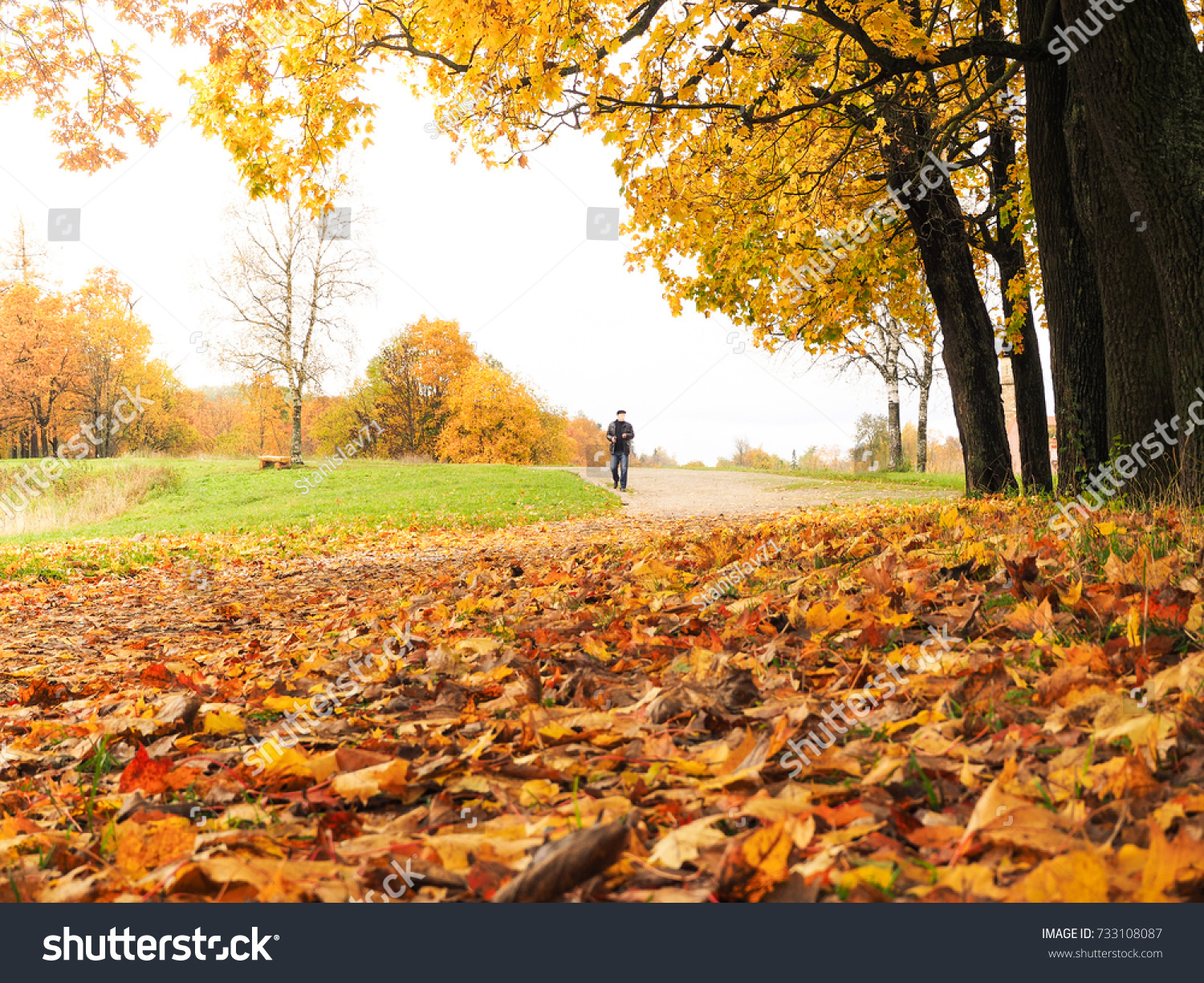 Autumn landscape. The natural background. #733108087