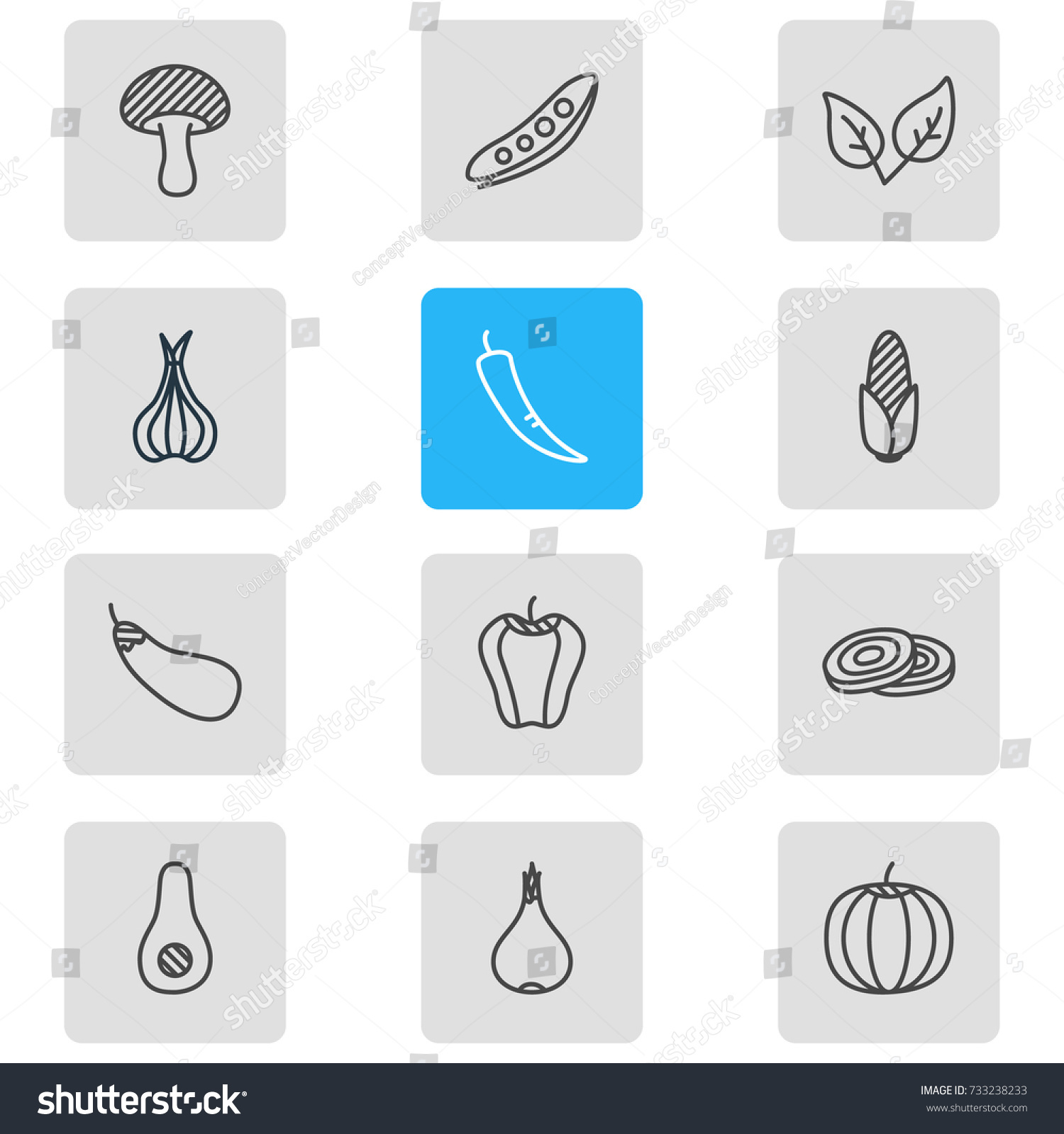 Vector Illustration Of 12 Vegetables Icons. Editable Pack Of Legume, Paprika, Aubergine And Other Elements. #733238233