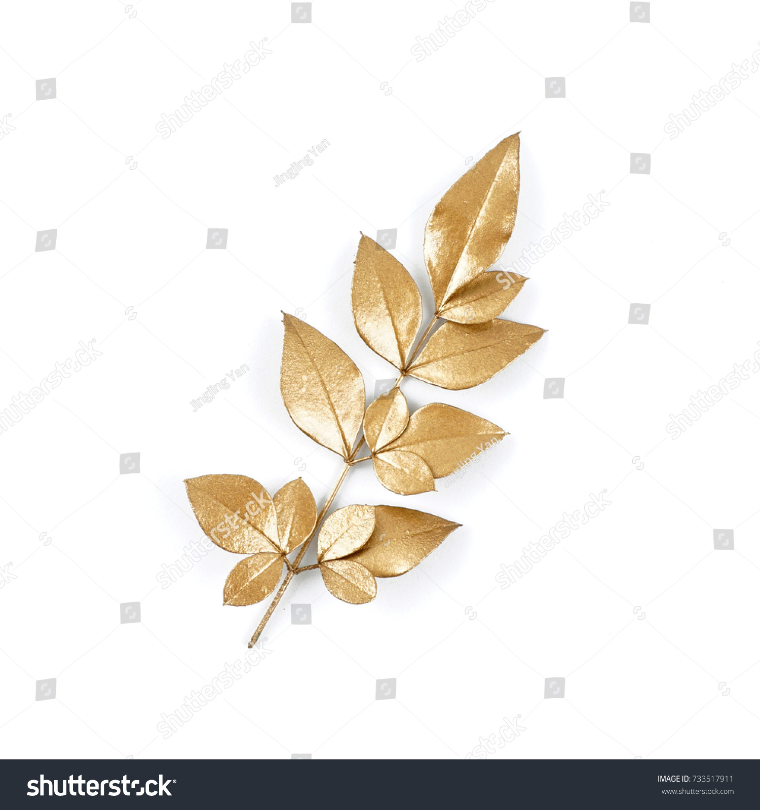 golden leaf design elements. Decoration elements for invitation, wedding cards, valentines day, greeting cards. Isolated. #733517911