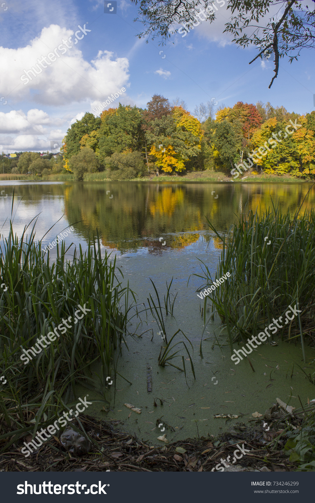 autumn reflections in the water, colorful nature   #734246299