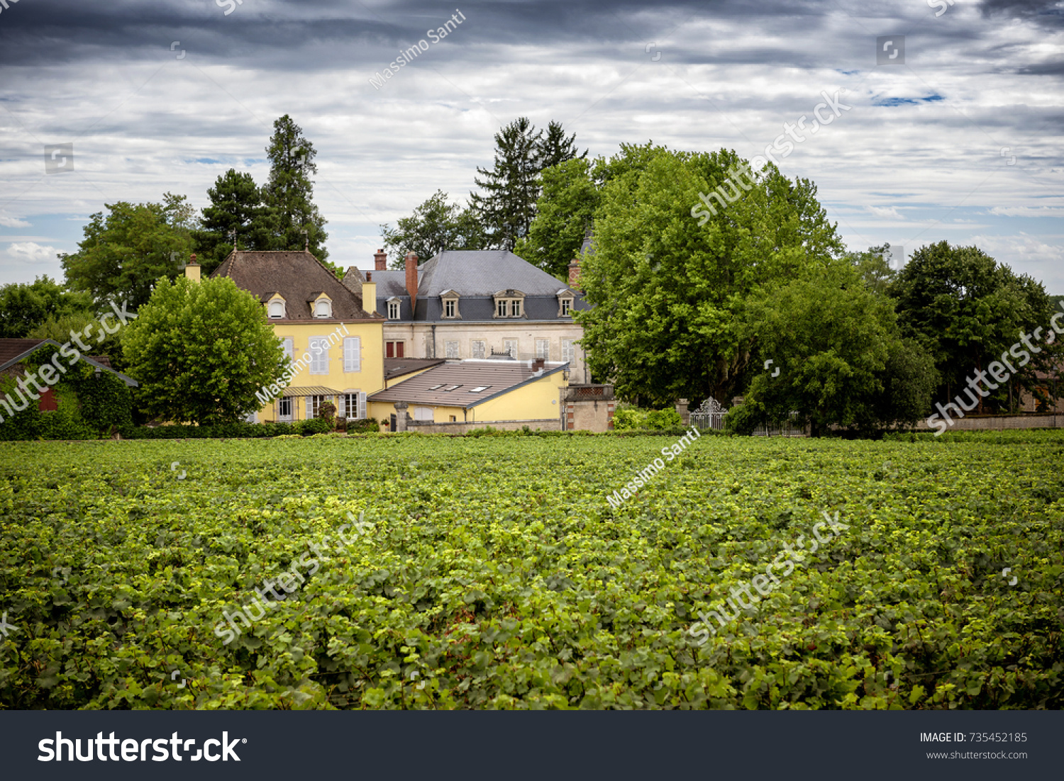 Burgundy, Chateau and vineyards. France #735452185