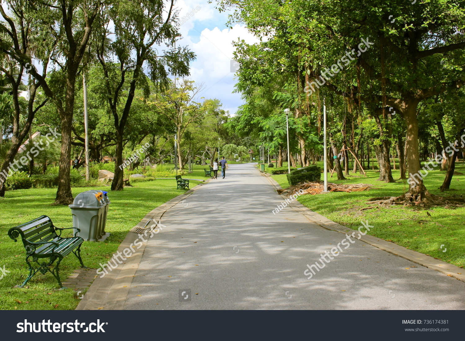  The power of light and shadow,Nature background in the garden,The perfect combination of nature,Tree nature background,Holidays in Bangkok public park #736174381