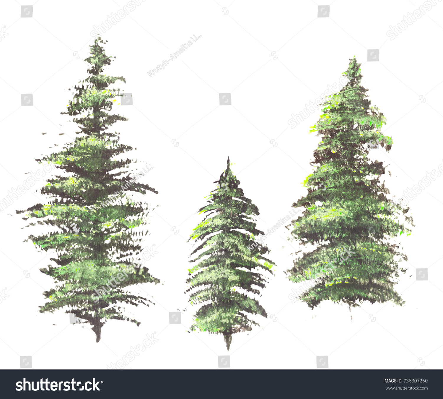 Hand drawn acrylic vibrant pine green trees isolated on white background. #736307260