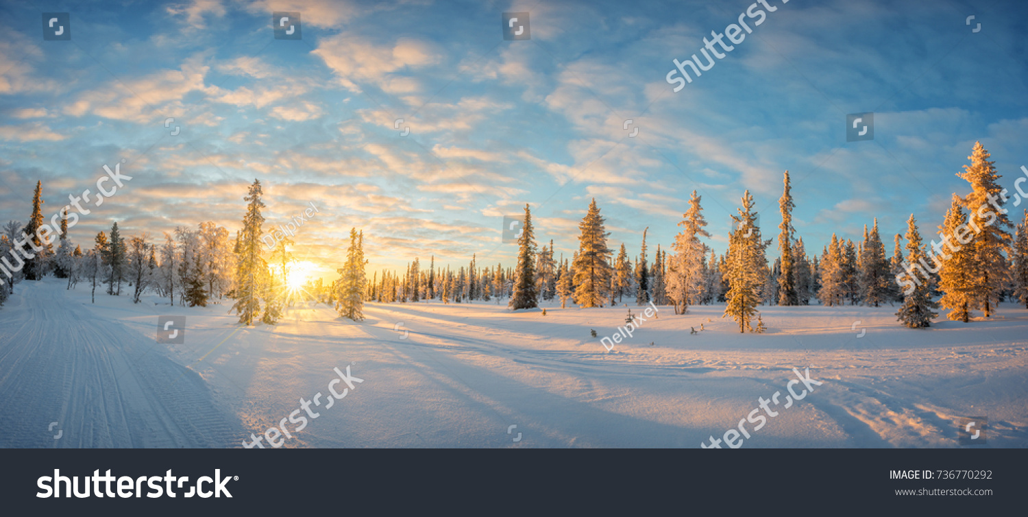 Snowy landscape at sunset, frozen trees in winter in Saariselka, Lapland, Finland #736770292