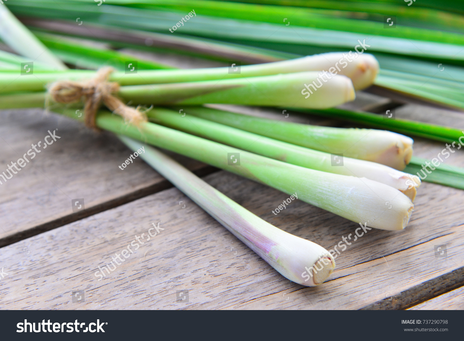 Fresh lemongrass  on wooden texture in cooking concept. #737290798