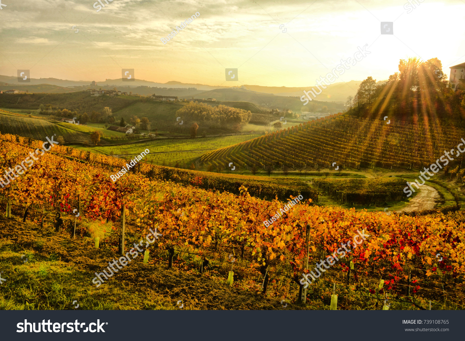 Piedmont, Langhe landscape with vineyards in autumn. #739108765