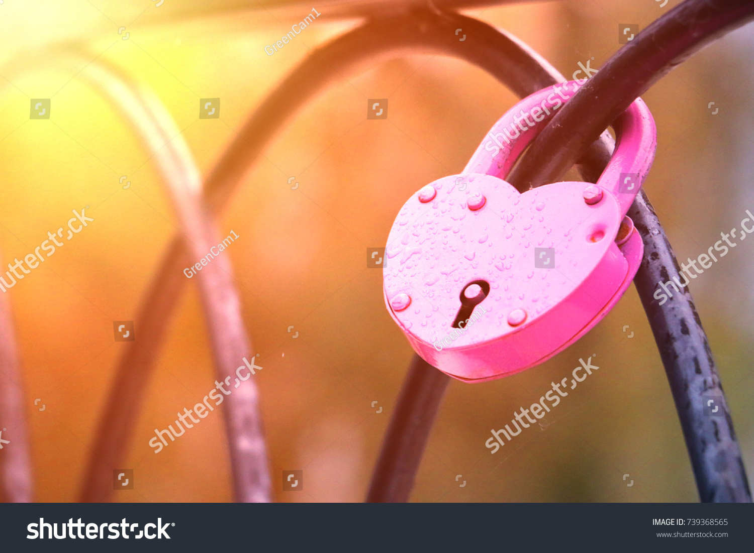 pink lock on the fence heart #739368565