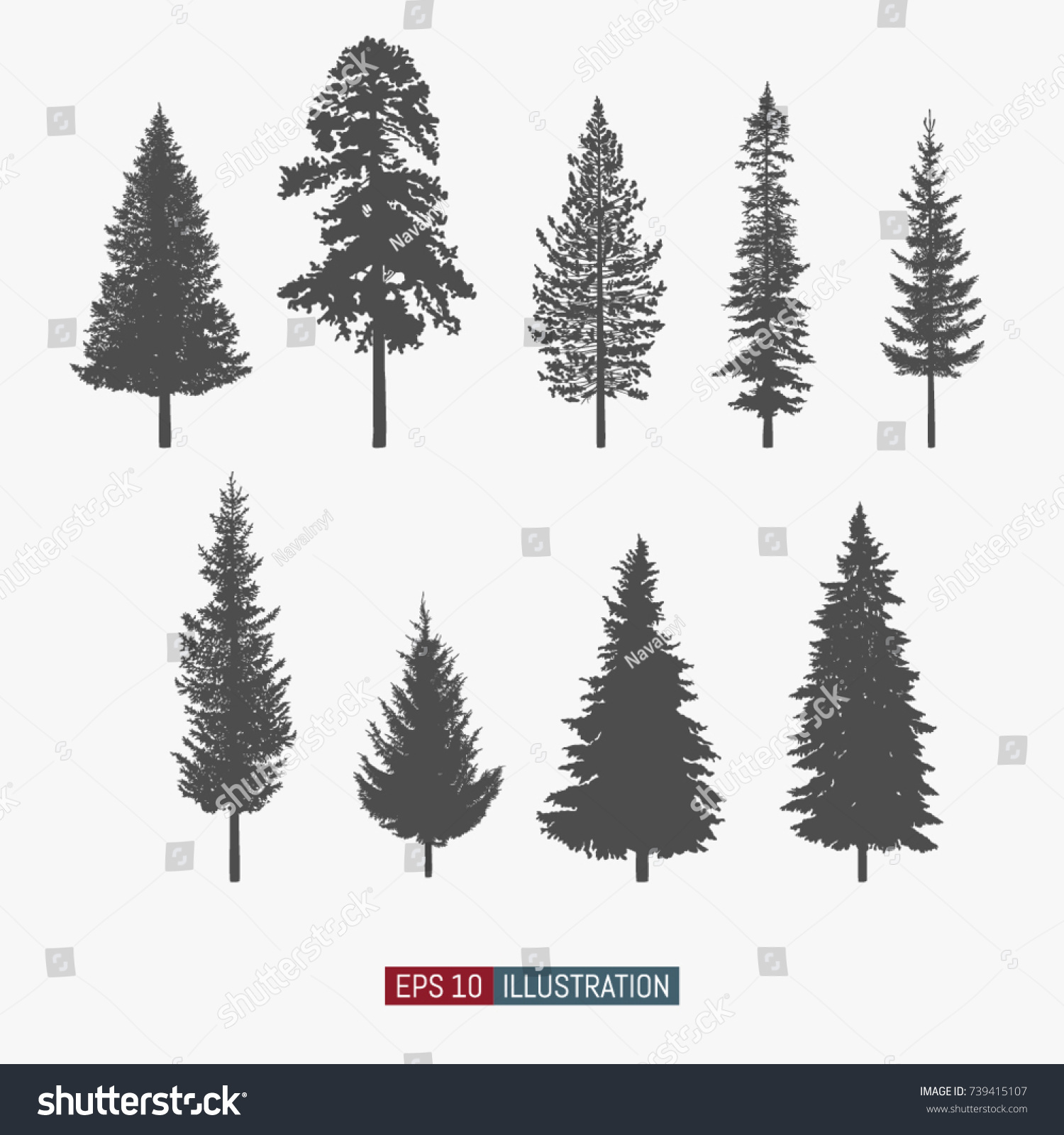 Coniferous tree isolated silhouettes set. Pine tree and fir tree flat icons. Elements for your design works. Vector illustration. #739415107
