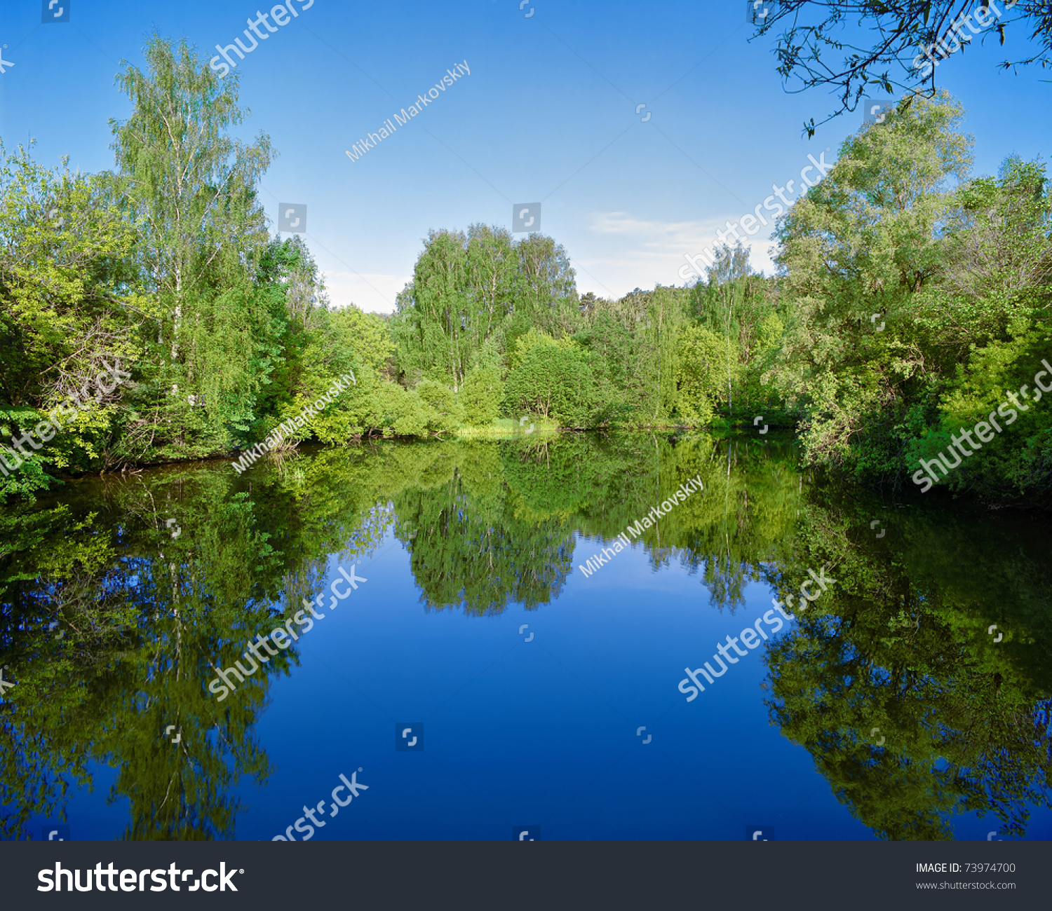 Landscape with trees, reflecting in the water #73974700