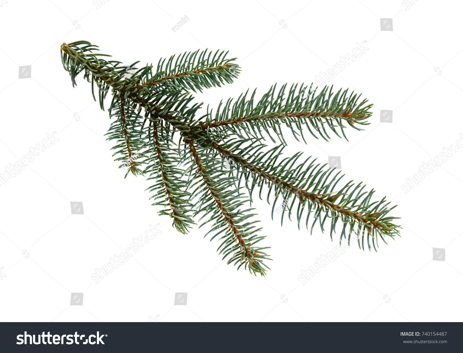 Fir tree branch isolated on white background. Pine branch. Christmas background. #740154487