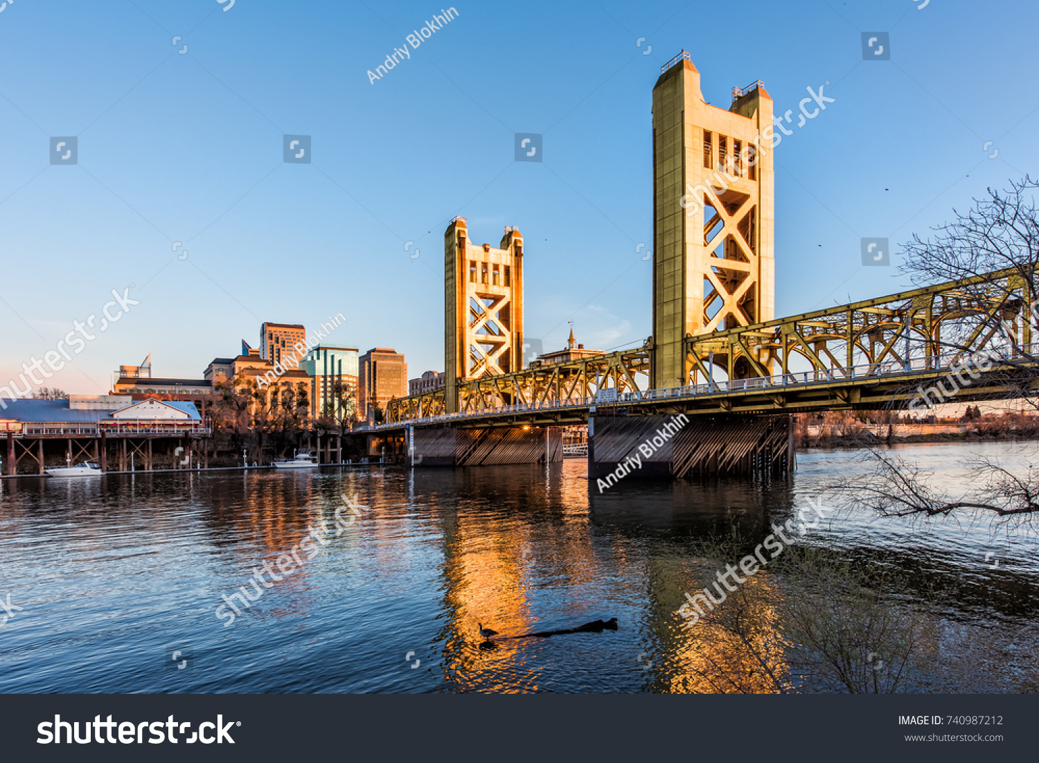 Gold Tower Bridge in Sacramento California during blue sunset with downtown and goose on floating log #740987212