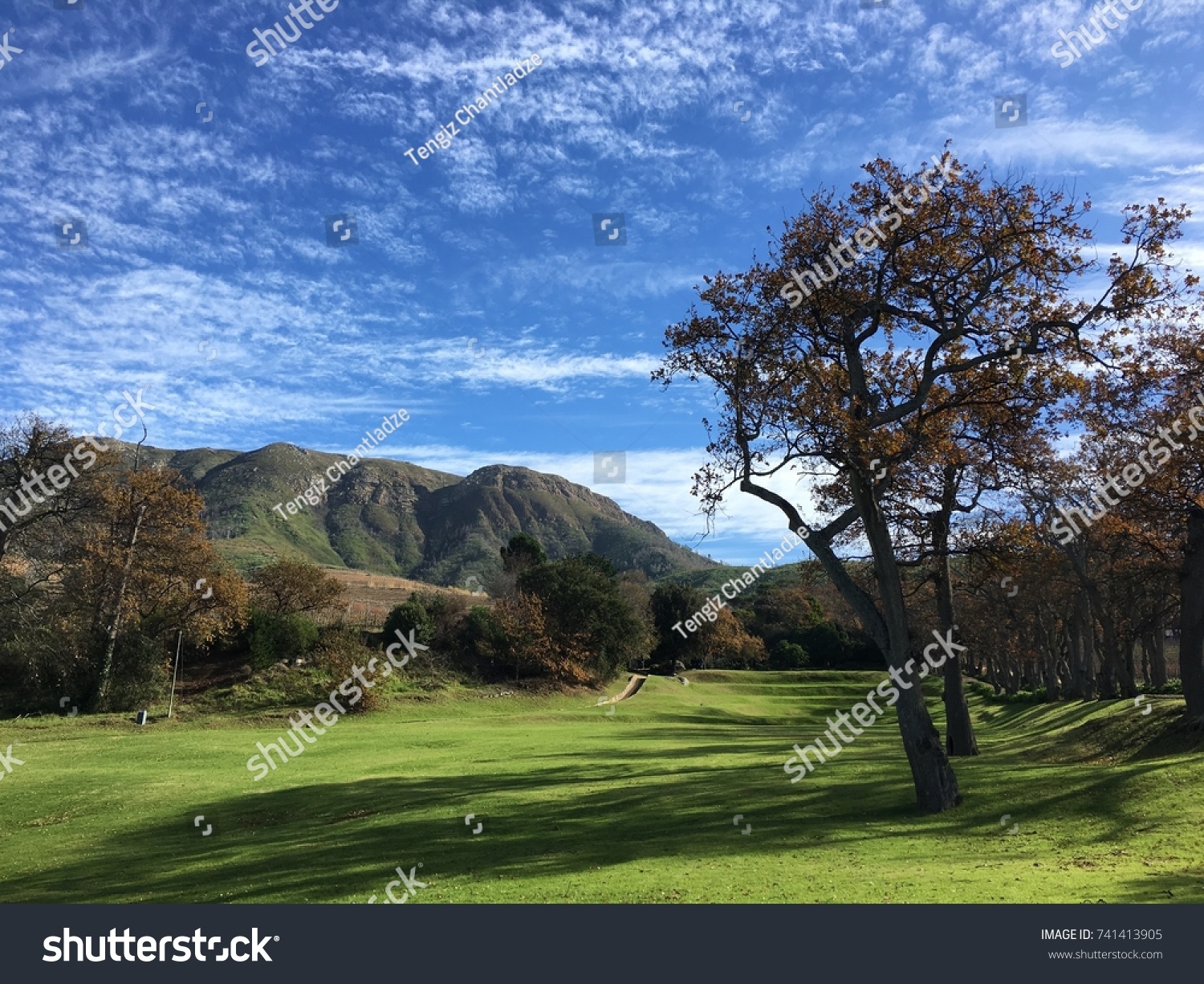 Groot Constantia, Southern Suburbs, South Africa #741413905
