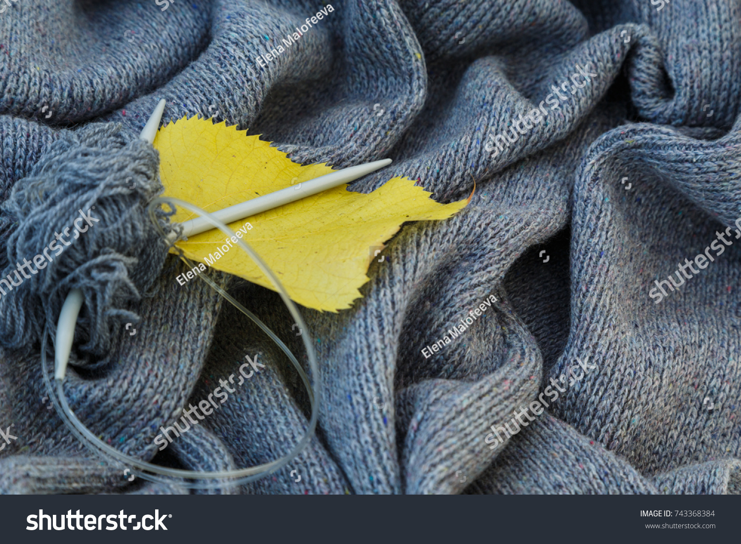 background of knitted gray linen of goat's wool made with knitting needles or on a knitting machine laid in waves with metal knitting needles, yellow aspen leaf and red chrysanthemum flower. #743368384