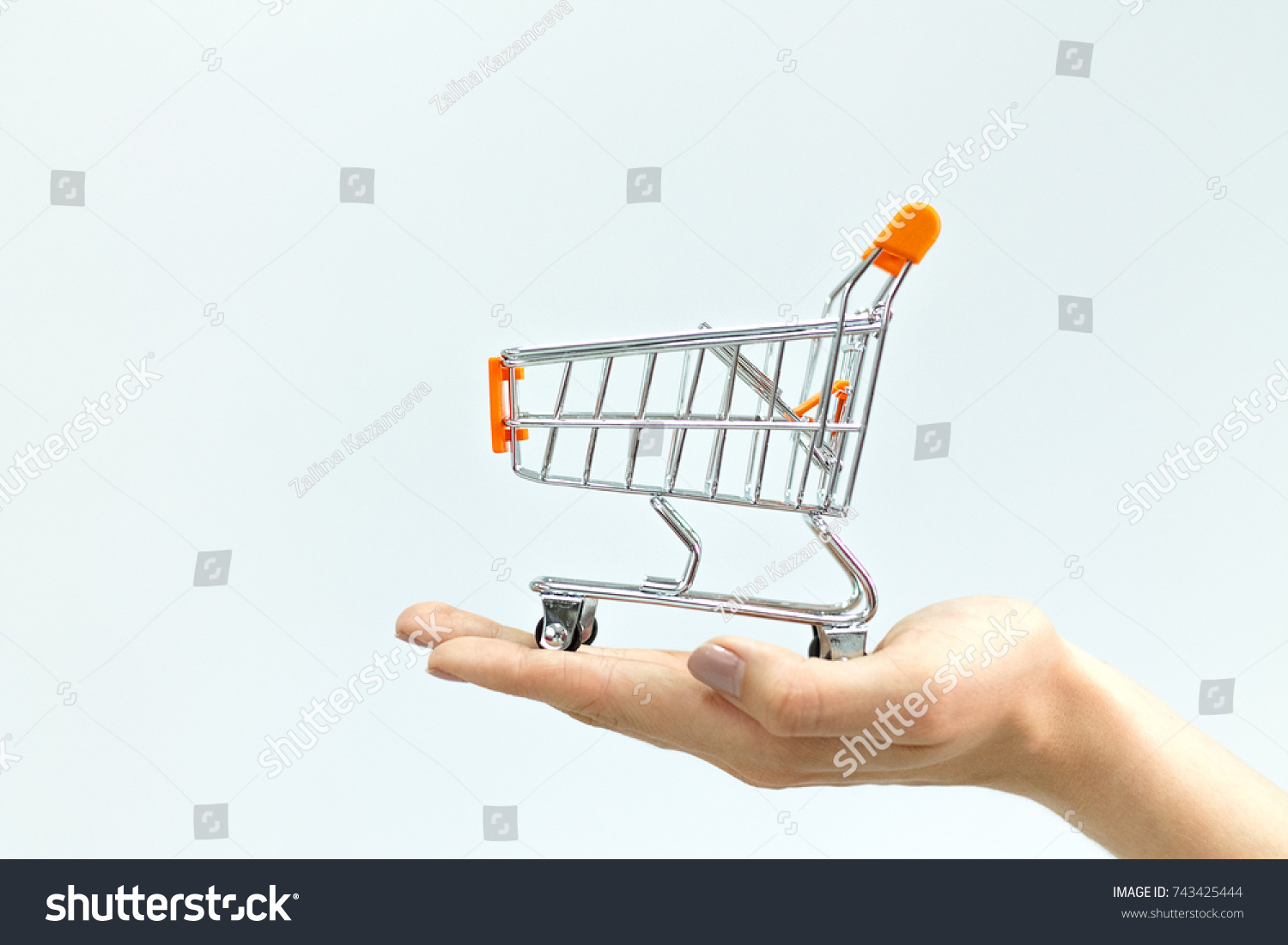 The shopping cart in female hands isolated #743425444