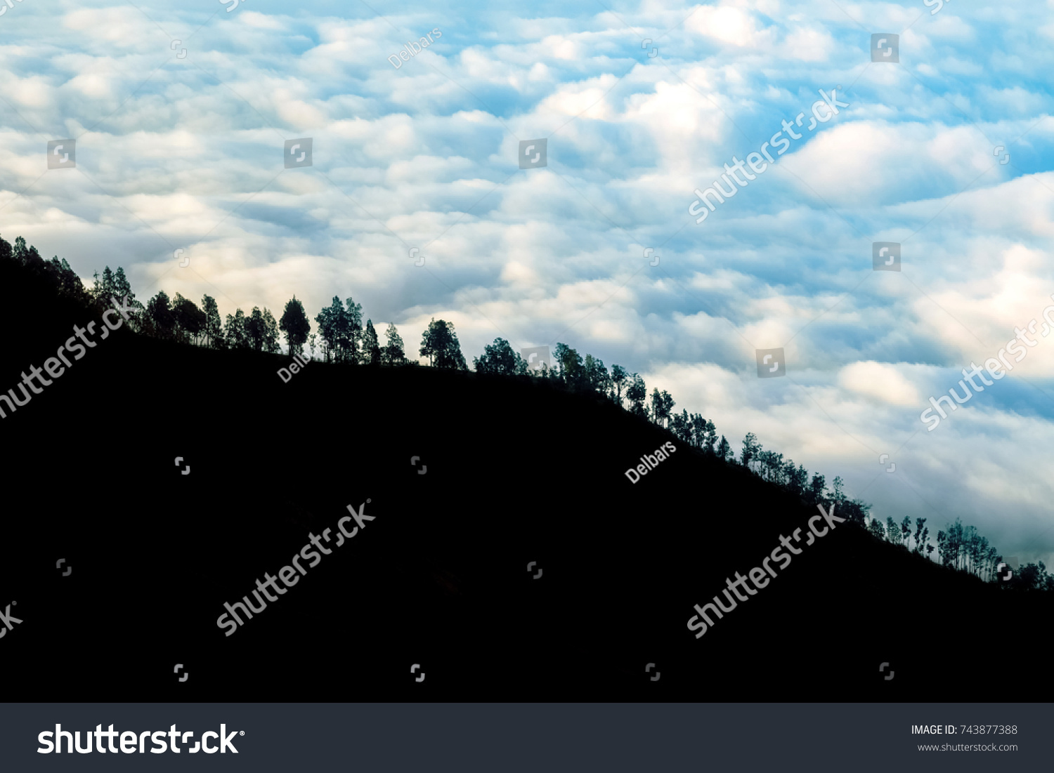 Trees on the mountainside against the background of storm clouds. Light and shadow. #743877388