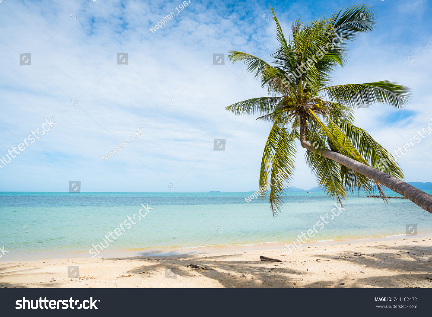 Coconut trees stretch into the sea #744162472