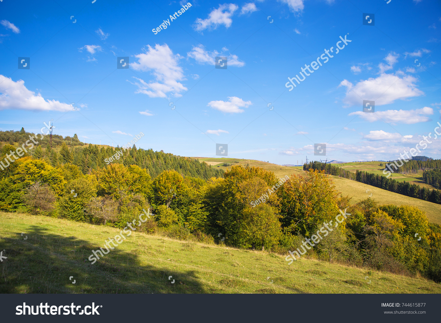 Abstract mountainside with trees. The Carpathian Mountains. Ukraine. #744615877