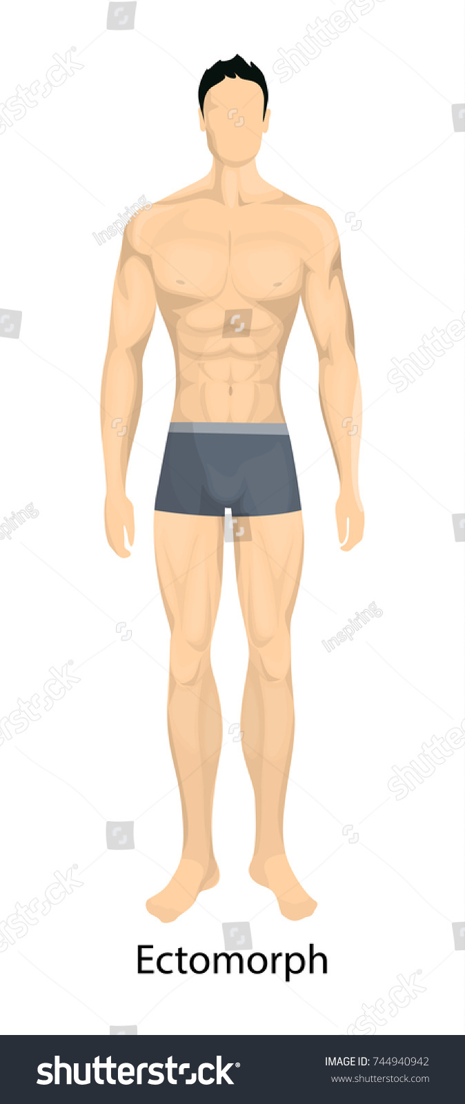 Male body types. Ectomorph body type of man. - Royalty Free Stock ...