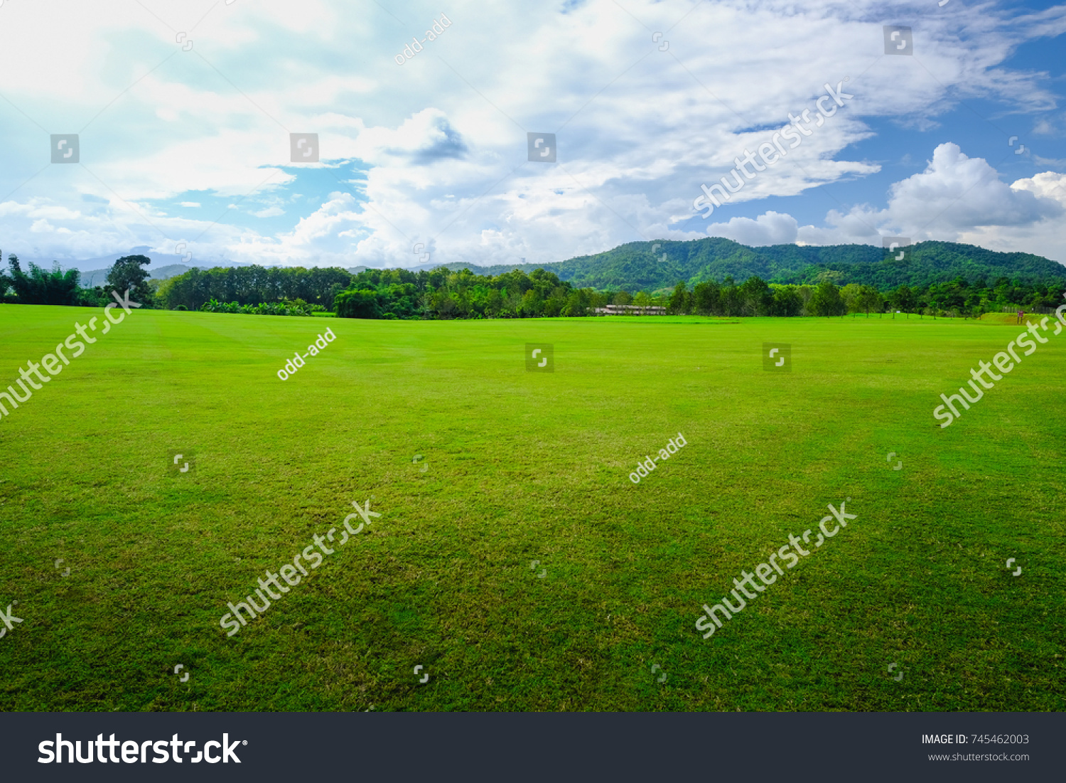 Background image of lush grass field with blue sky at Singha Park, Chiangrai, Thailand #745462003
