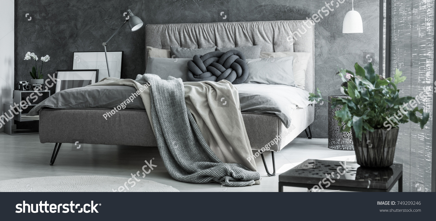 Plant in flowerpot on design table in bedroom with braided pillow on king size bed #749209246