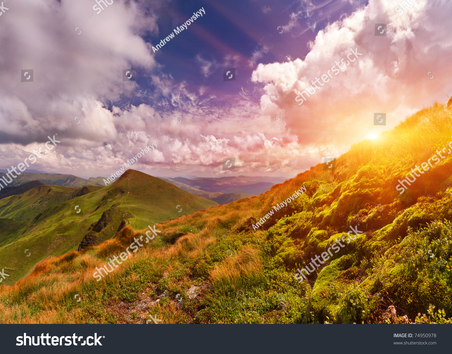 Summer landscape in the mountains. Sunset #74950978