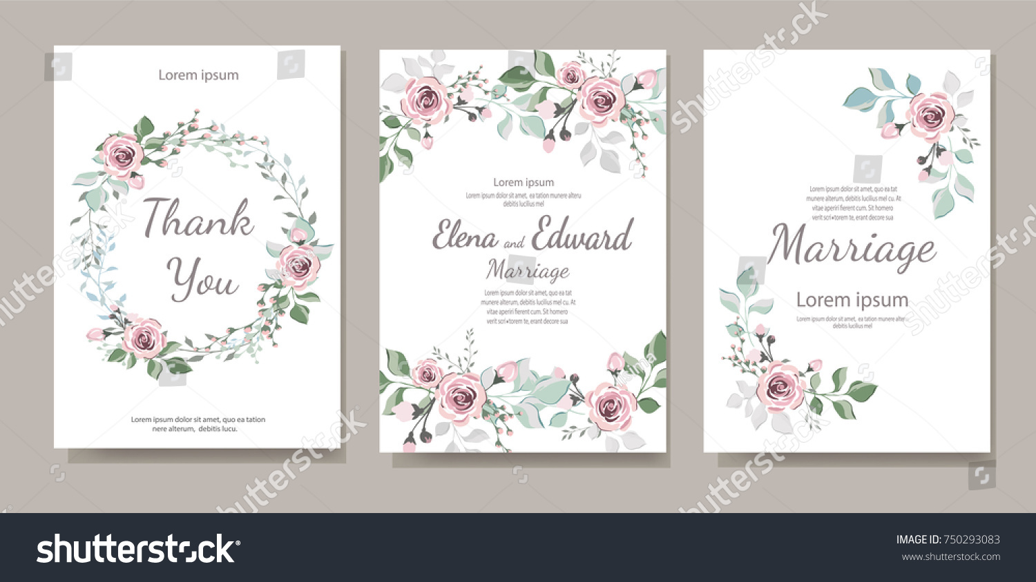 Set of card with flower rose, leaves. Wedding ornament concept. Floral magazine, poster, invite. Vector layout decorative greeting card or invitation design background #750293083