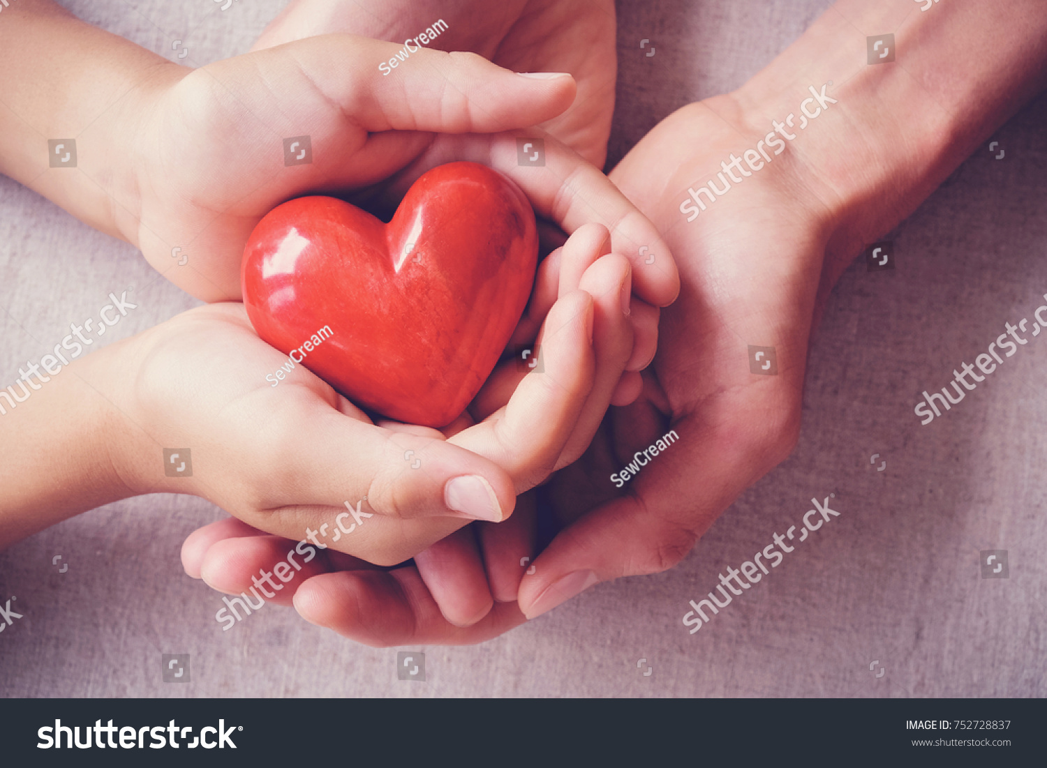 adult and child hands holding red heart, health care, love, organ donation, family insurance and CSR concept, world heart day, world health day, foster home care #752728837