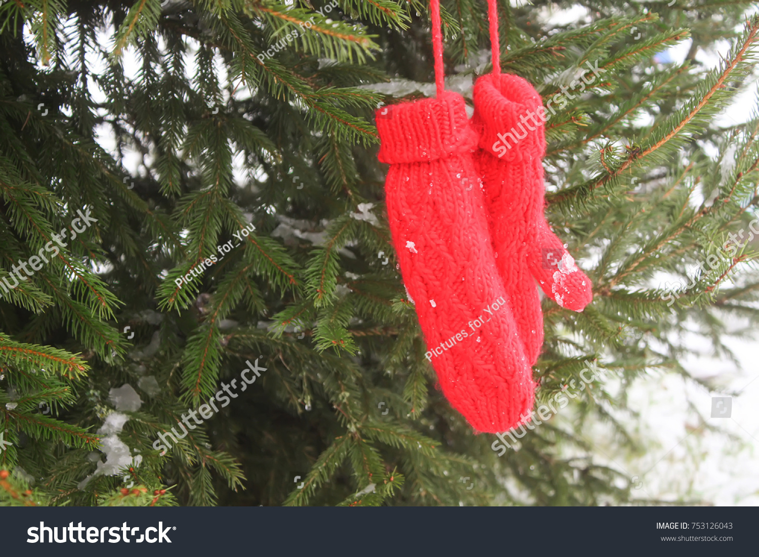 Red mittens hanging on fir tree green branches in winter park. #753126043