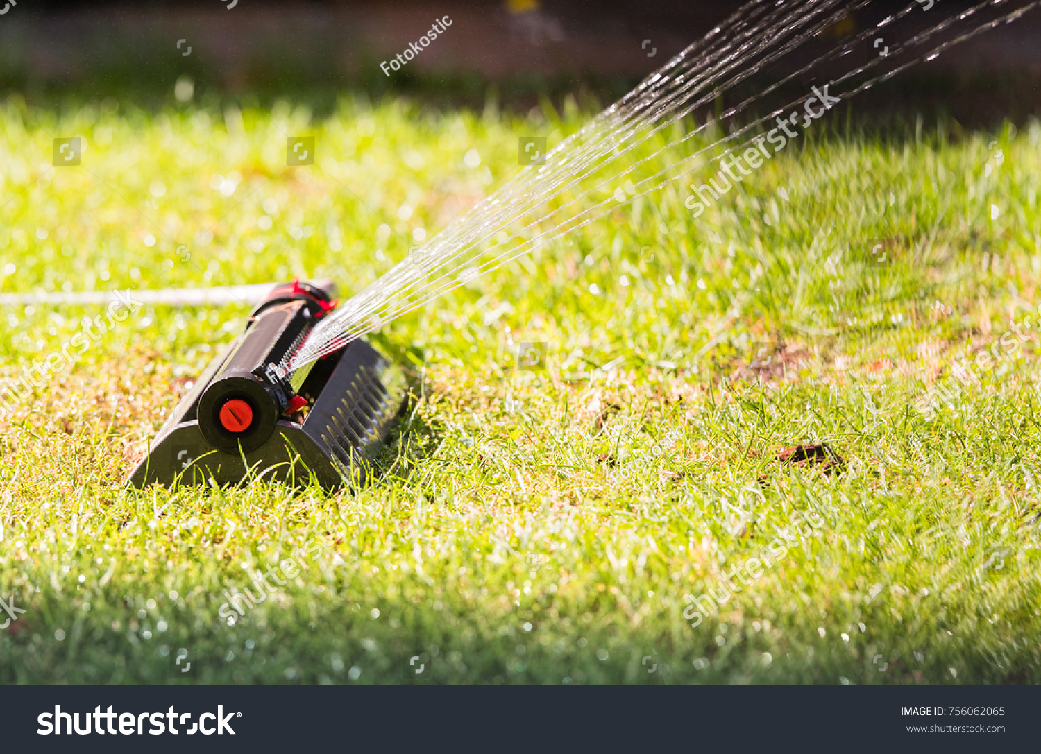 Sprinkler head spraying water on green lawn #756062065