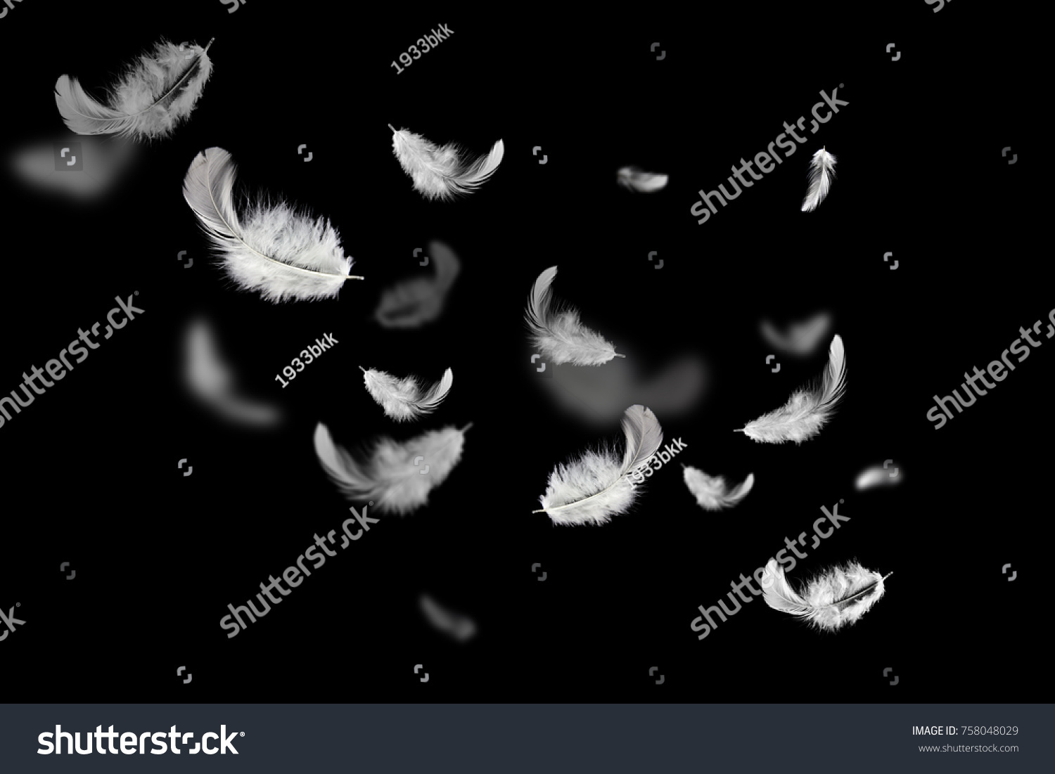 Soft white feathers floating in the air on the dark, black background #758048029