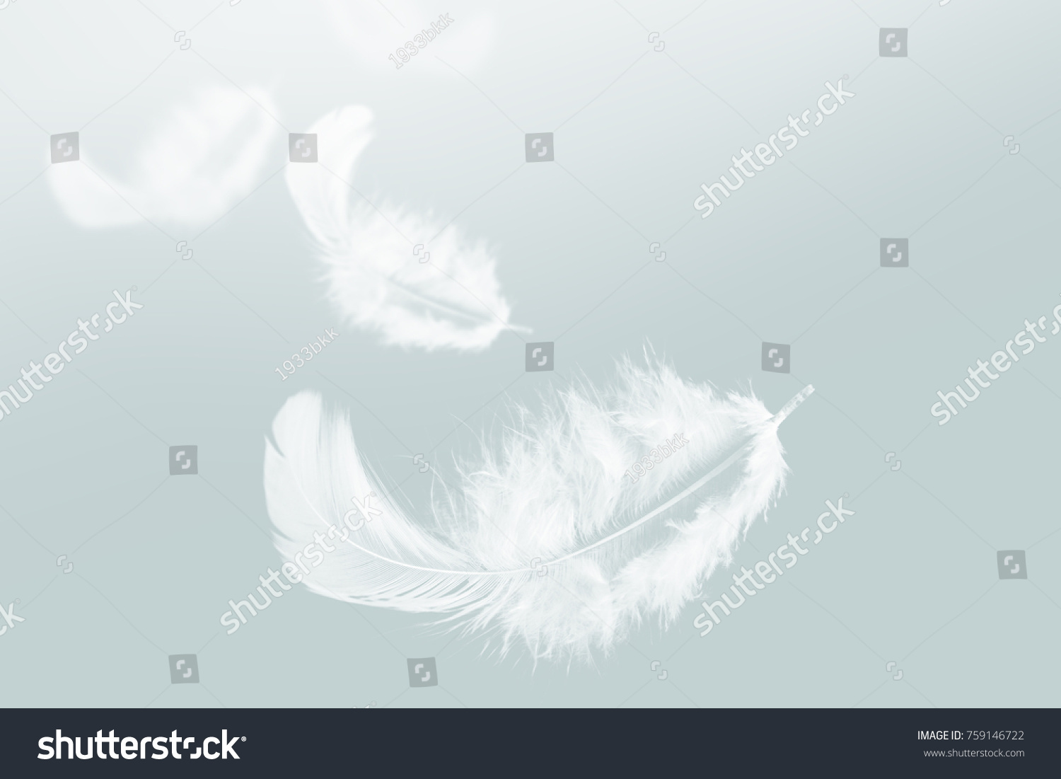 White feather floating in the sky #759146722