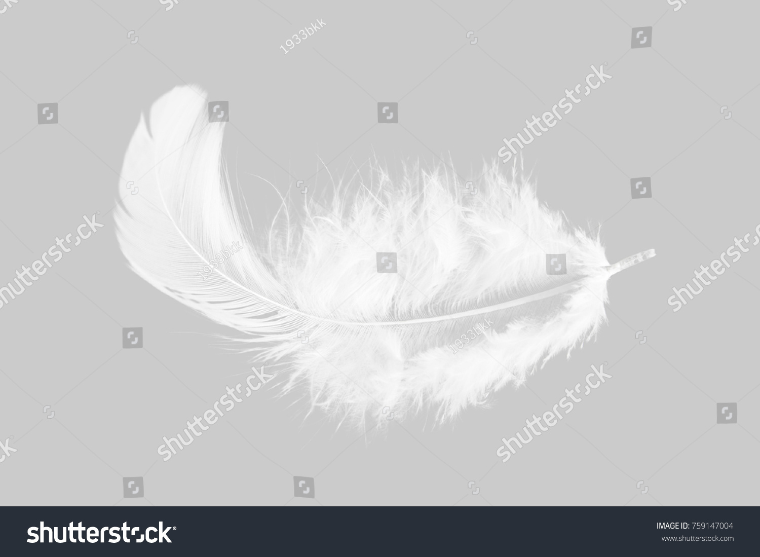 Single soft white feather isolated on grey background. #759147004