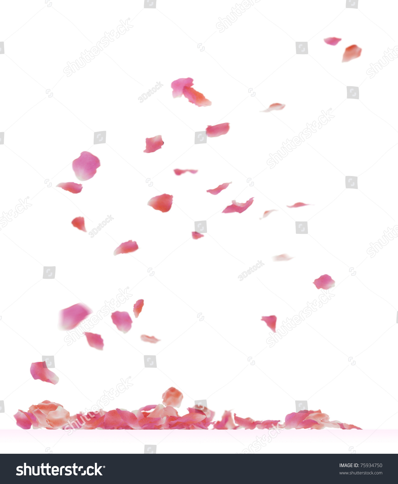 Falling rose petals. 3d rendering isolated on white background. #75934750
