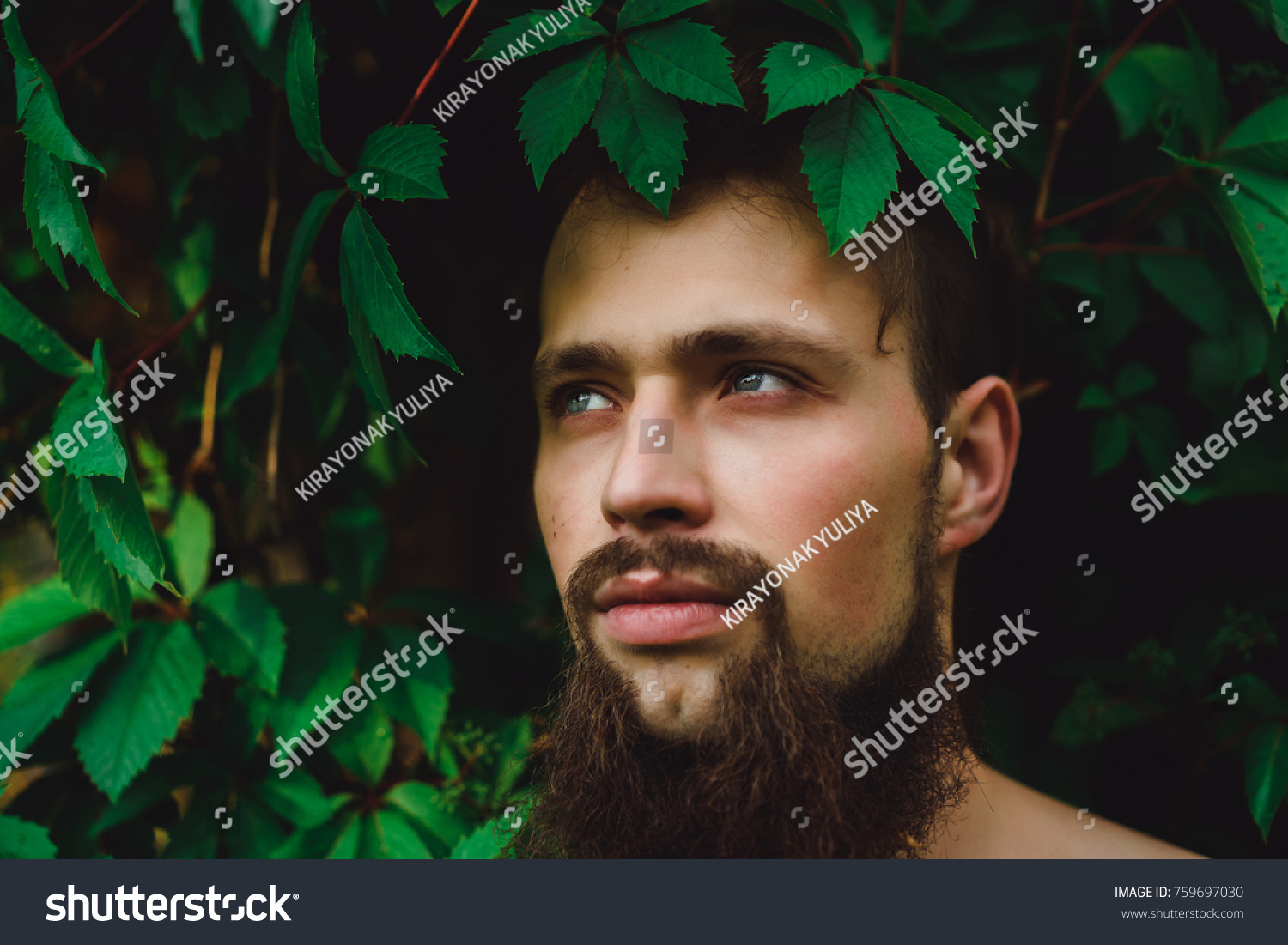 portrait of a handsome man on green summer leaves. Fashion Brunette man with blue eyes, Portrait in wild leaves (grapes), natural background. #759697030