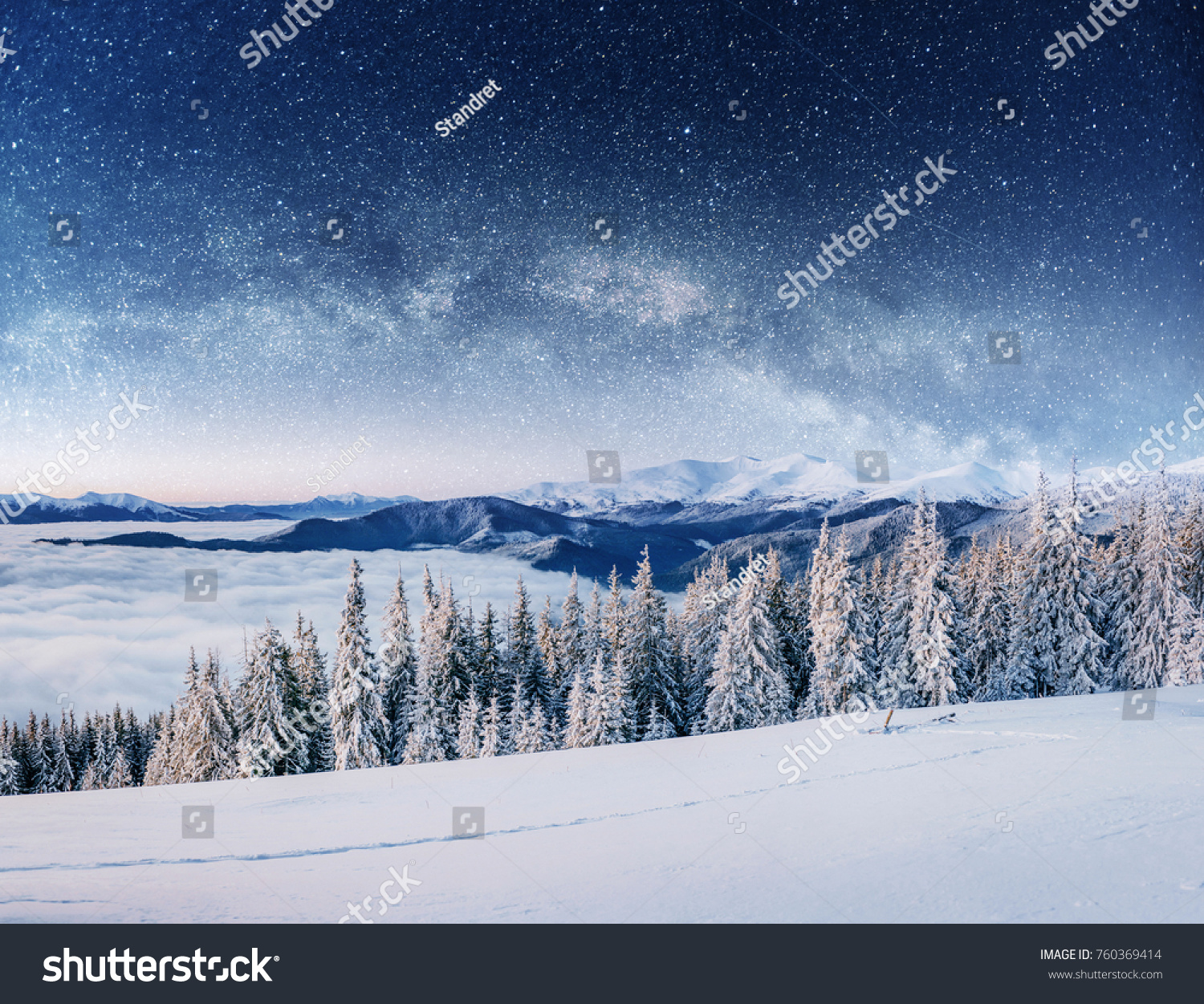 Winter woods dramatic and picturesque scene. In anticipation of the holiday. Carpathian Ukraine Europe #760369414