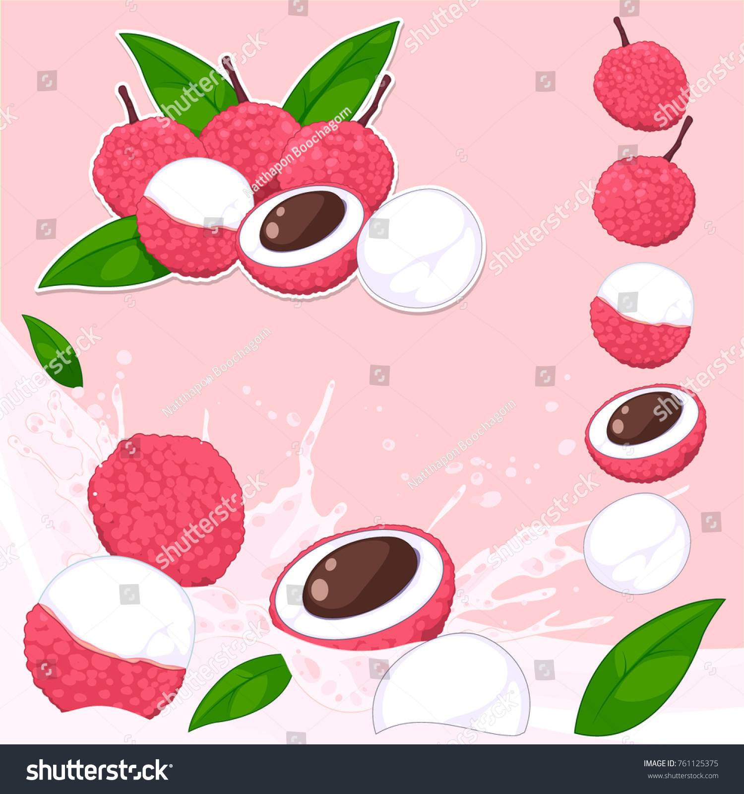 Lychee With Splash Juice Set - Royalty Free Stock Vector 761125375 ...