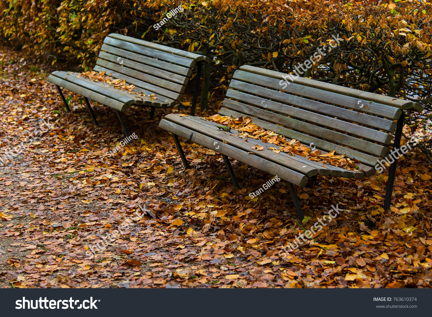 Two Benches in Fall #763610374